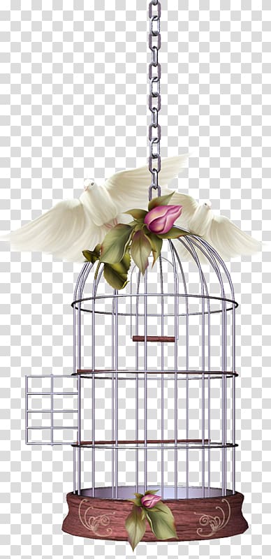 decorative cage with flowers png clipart