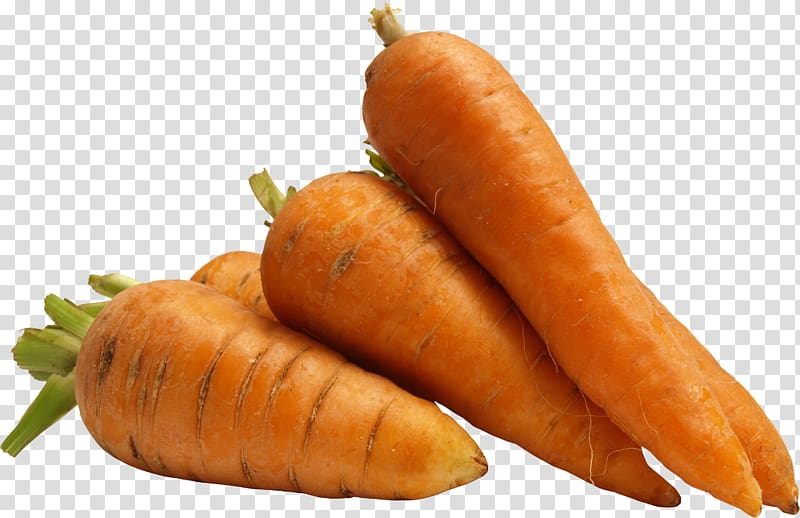 Carrot transparent background PNG clipart