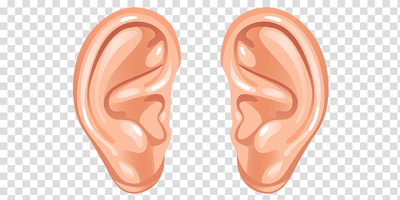 pair of human ears graphic, Cartoon Ears transparent background PNG clipart