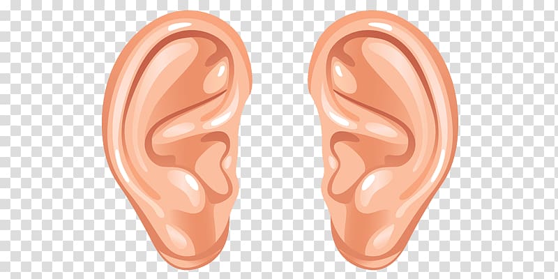 human ears clipart