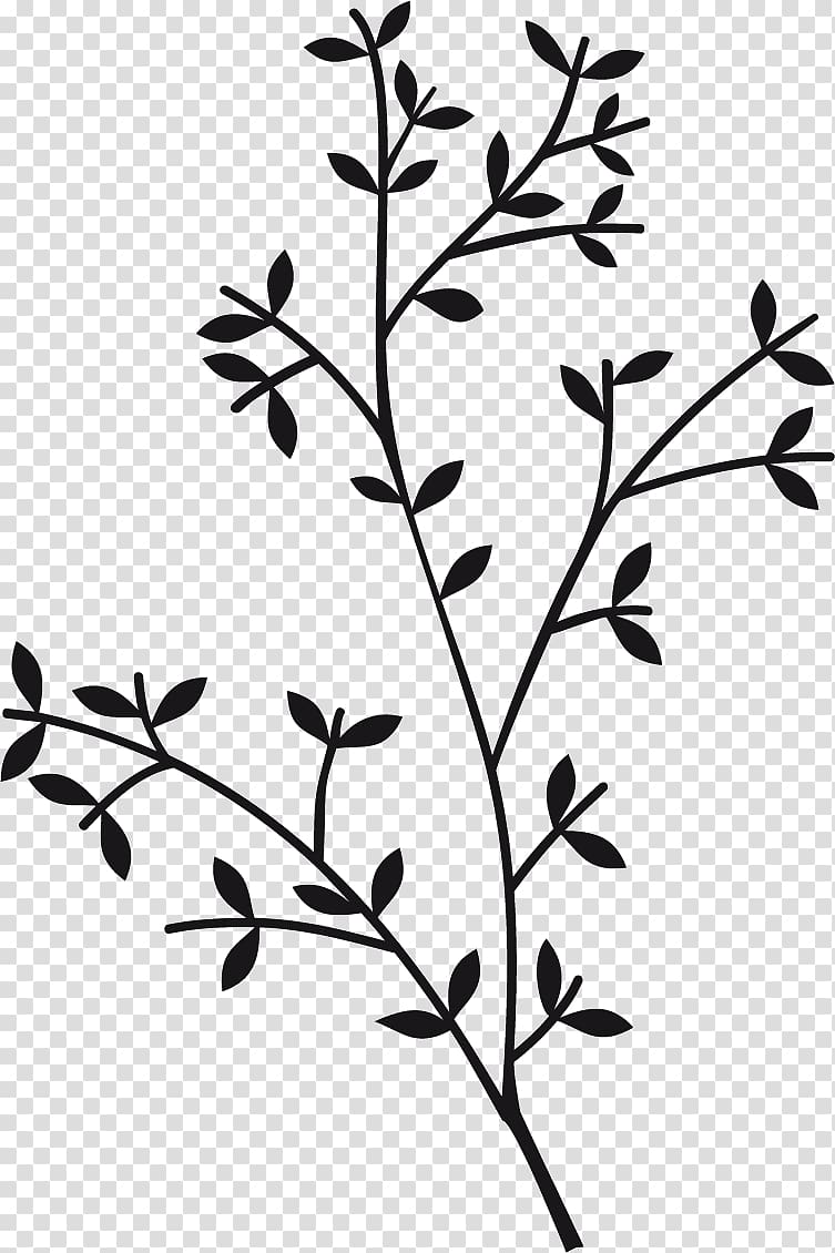 Twig Plant stem Leaf Flower , Rama Shinta transparent background PNG clipart