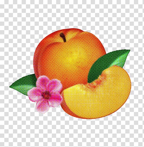 Wolfgang Amadeus Phoenix Bankrupt! United Ti Amo, peach transparent background PNG clipart