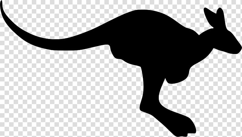 Kangaroo Silhouette , kangaroo transparent background PNG clipart