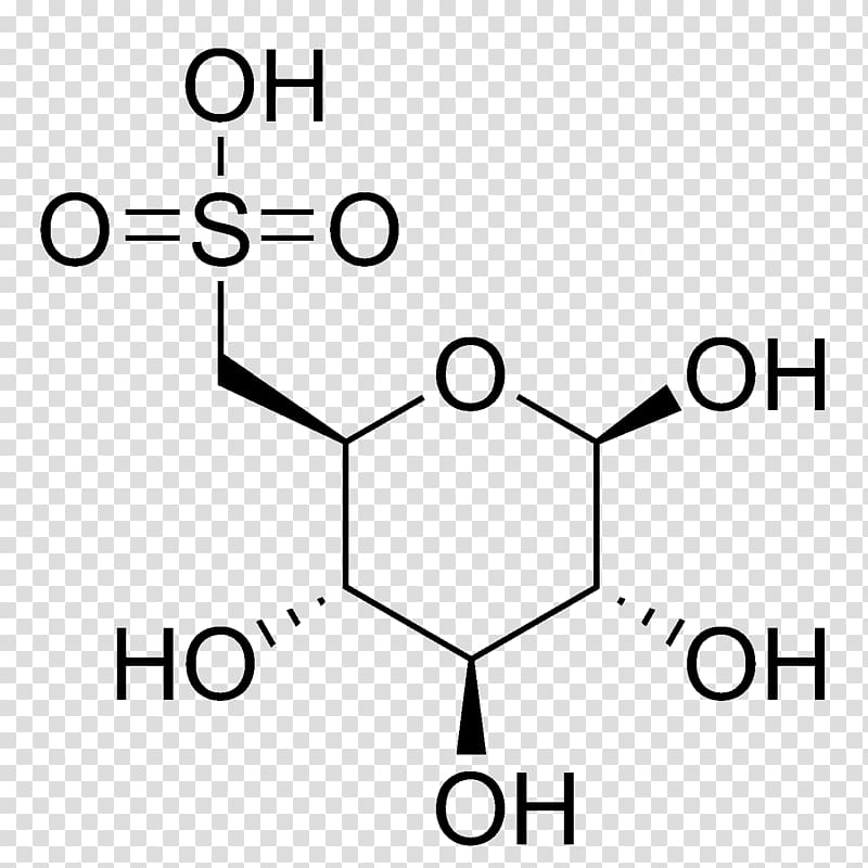 Mannose Structure Glucose Anomer Amino acid, Ester Sulfonique transparent background PNG clipart