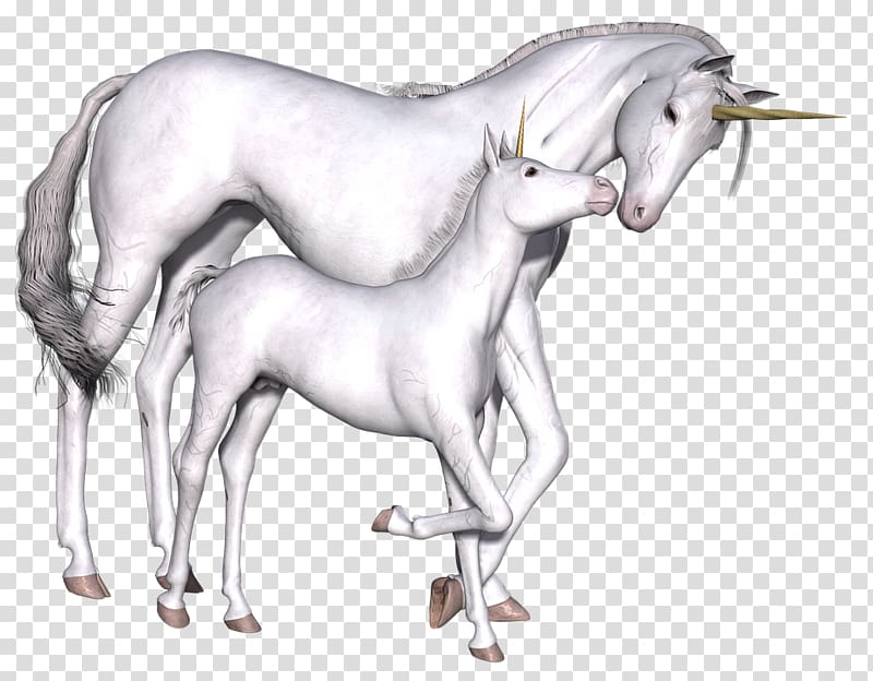Unicorn Fairy tale Imaginary Myth Game, unicorn transparent background PNG clipart