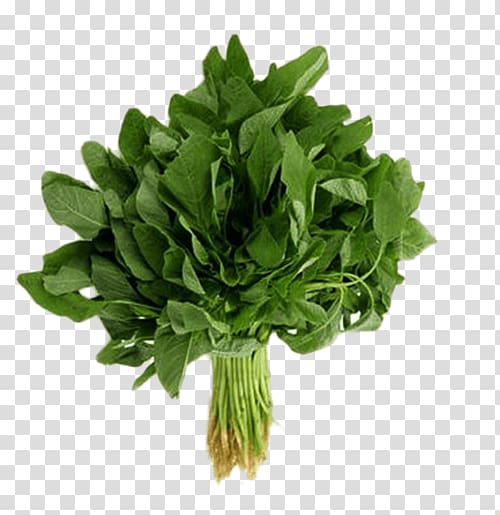 Organic food Callaloo Vegetable Heirloom plant Greens, vegetable transparent background PNG clipart