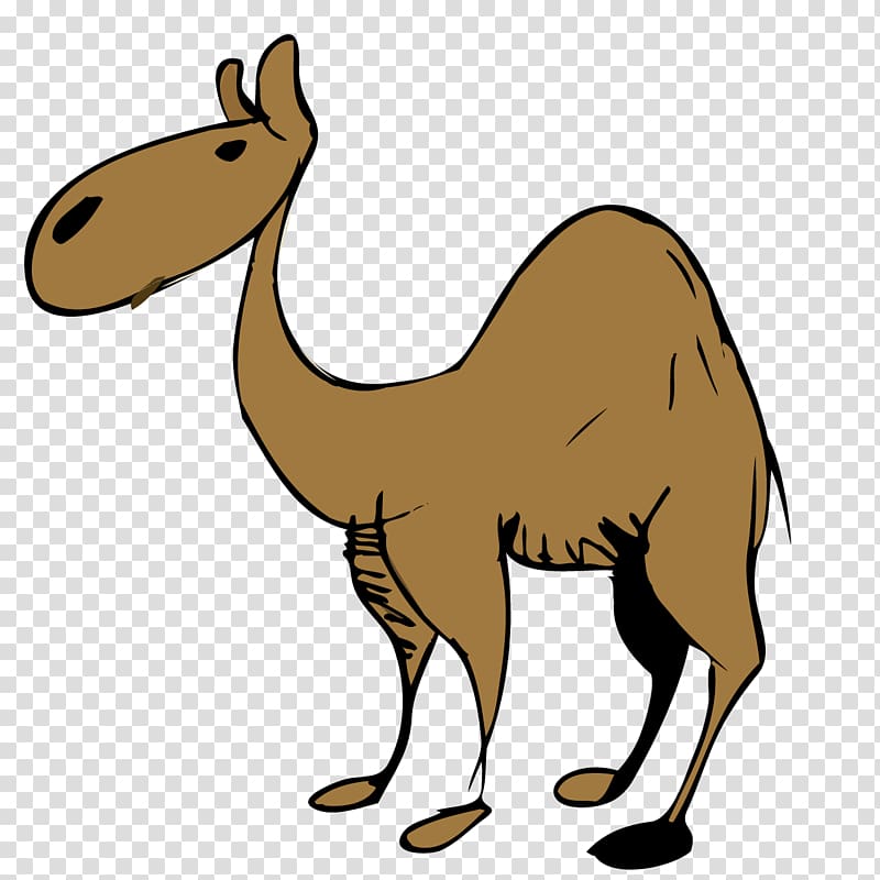 Dromedary Desert , Camel cartoon transparent background PNG clipart