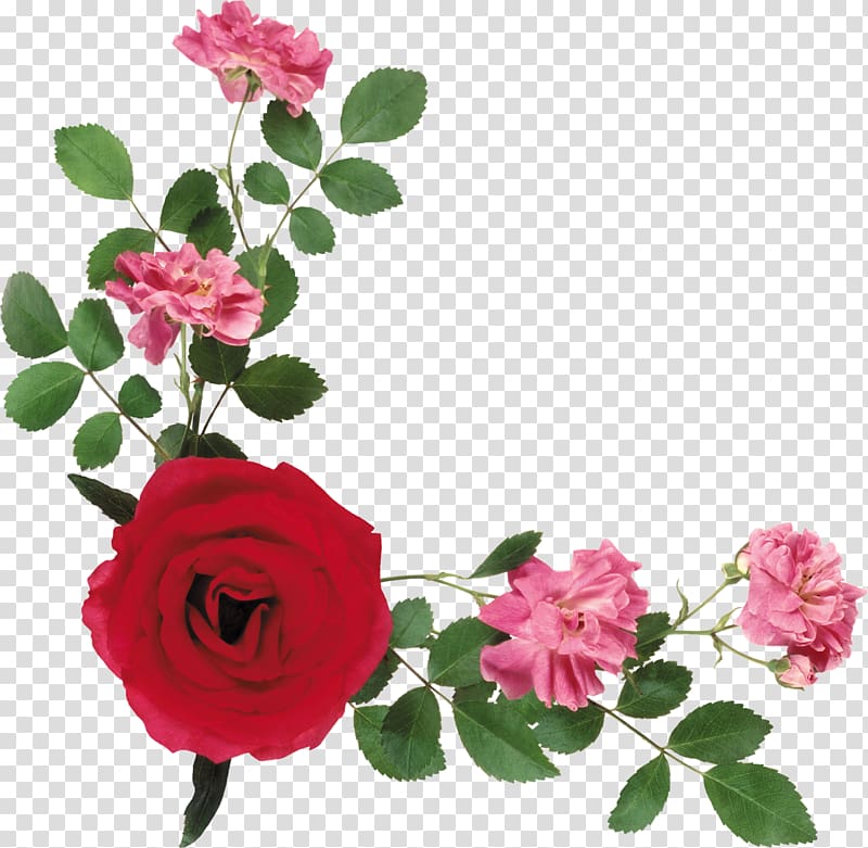 Portable Network Graphics Flower Garden roses, flower transparent background PNG clipart