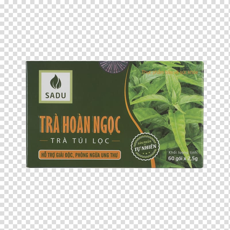 Herbal tea Herbal tea Disease Therapy, tea transparent background PNG clipart