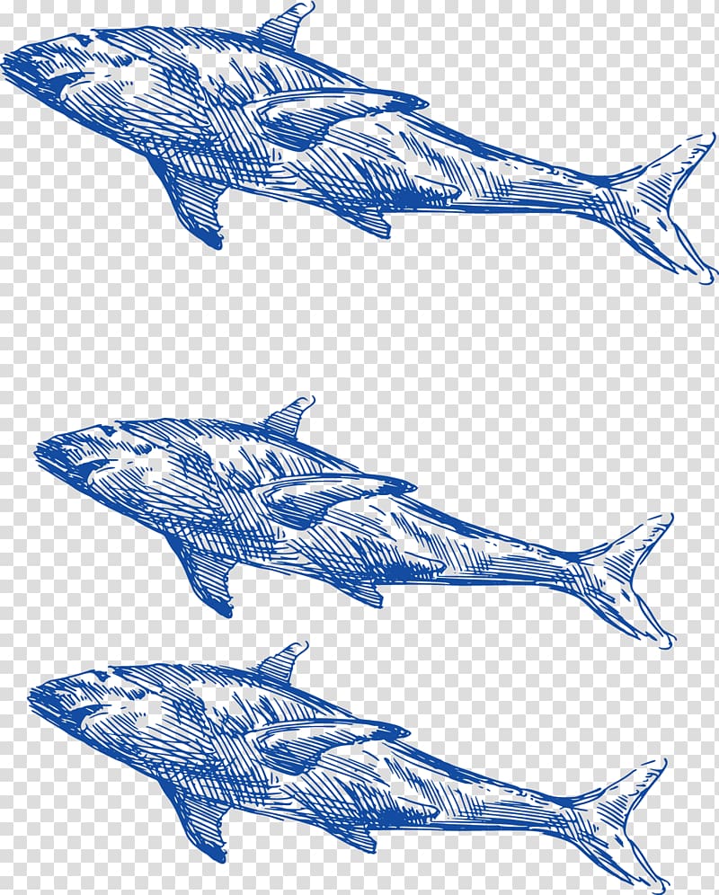 Shark Common bottlenose dolphin Whale, Hand-painted sea shark transparent background PNG clipart
