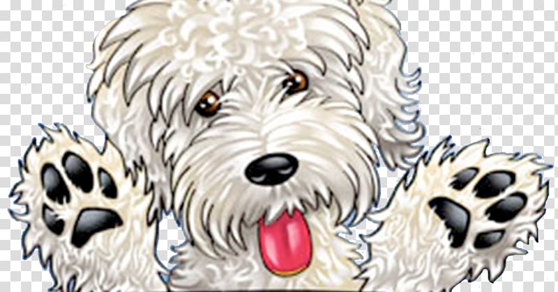 West Highland White Terrier Schnoodle Her Two Dads Dog breed Puppy, good bye transparent background PNG clipart