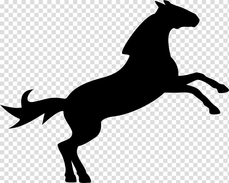 Horse Equestrian Show jumping , horse transparent background PNG clipart