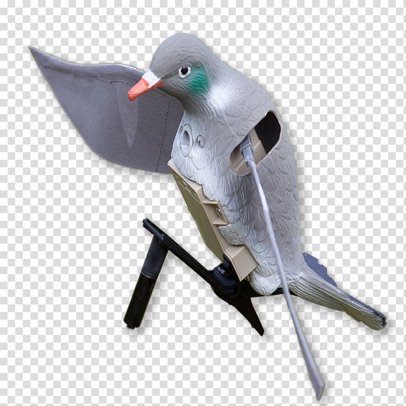 Duck decoy Mallard Hunting, duck transparent background PNG clipart