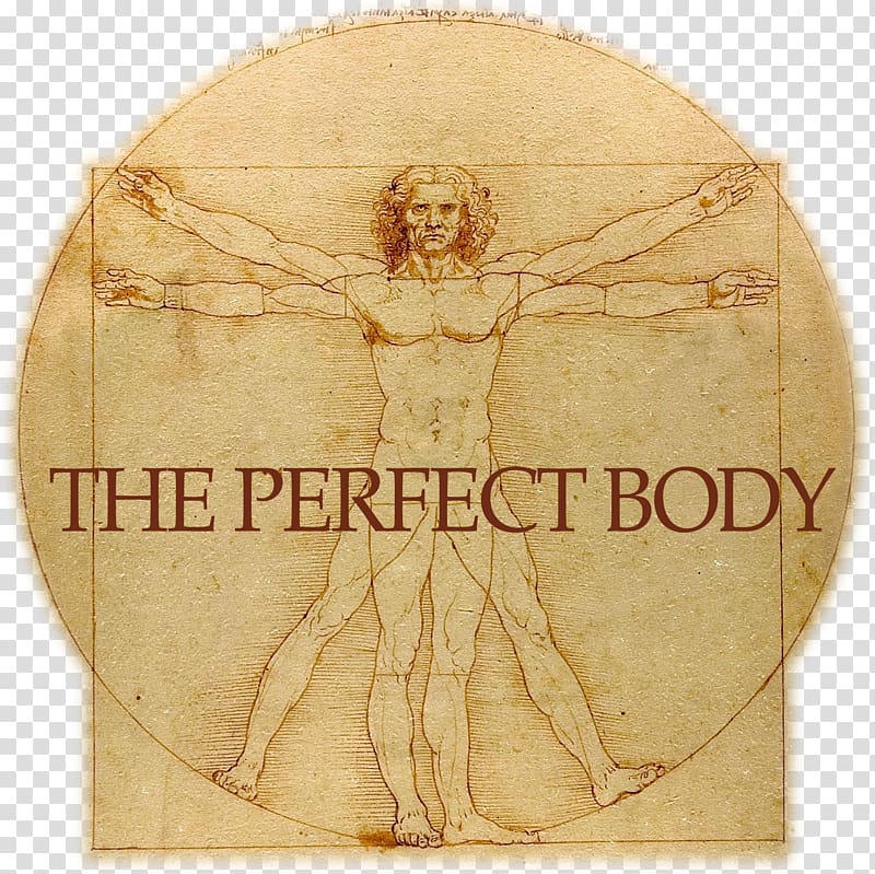 Vitruvian Man Gallerie dell\'Accademia St. John the Baptist Drawing Renaissance, perfect body transparent background PNG clipart
