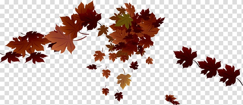 Maple leaf Autumn , Withered autumn leaves transparent background PNG clipart
