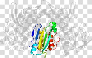 Organism , design transparent background PNG clipart thumbnail