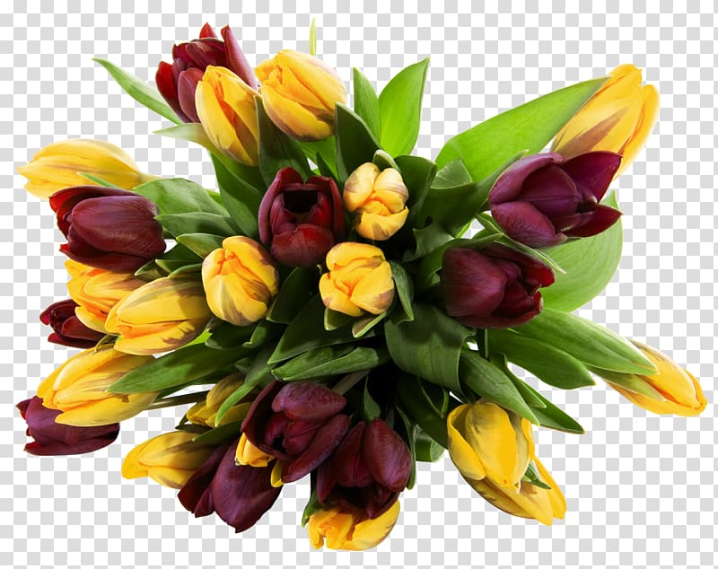 yellow and red tulips bouquet, Flower bouquet , Yellow and Red Tulips transparent background PNG clipart