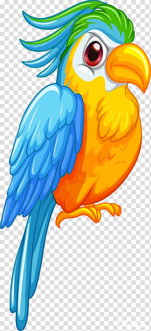 Parrot Bird Macaw , parrot transparent background PNG clipart