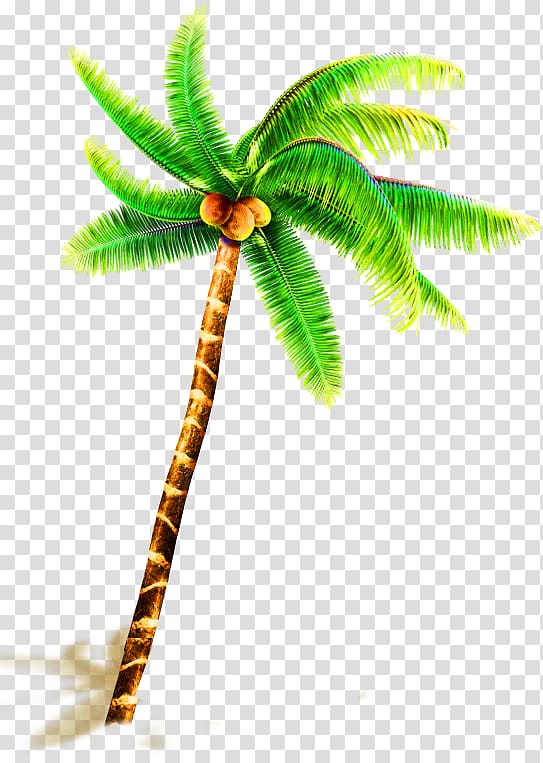 coconut tree , Coconut water Coconut milk Tree, Green hand painted coconut tree decoration pattern transparent background PNG clipart