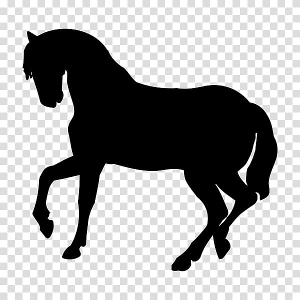 Horse Silhouette Dog Baby Jungle Animals Cat, horse transparent background PNG clipart