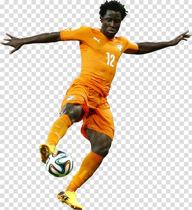 2014 FIFA World Cup Ivory Coast national football team Football player Japan national football team, special members transparent background PNG clipart