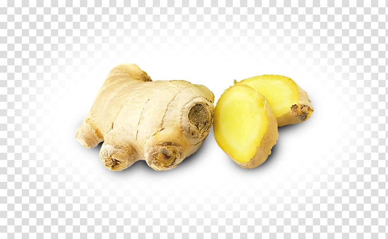 Puppy Root Vegetables Tuber Snout, Aloo Paratha transparent background PNG clipart