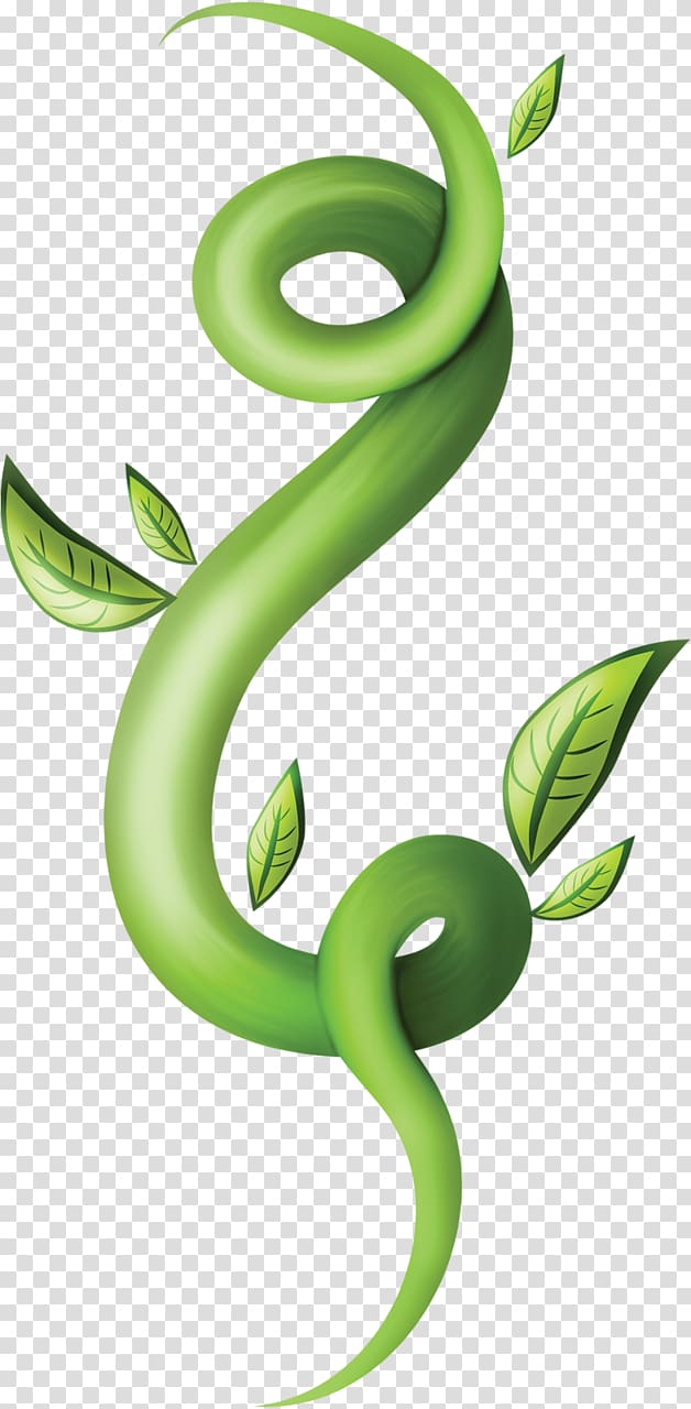 Green Plant stem Leaf , Leaf transparent background PNG clipart