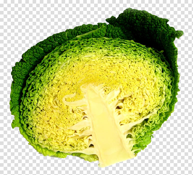 Broccoli Cabbage Vegetarian cuisine, Cabbage Half transparent background PNG clipart