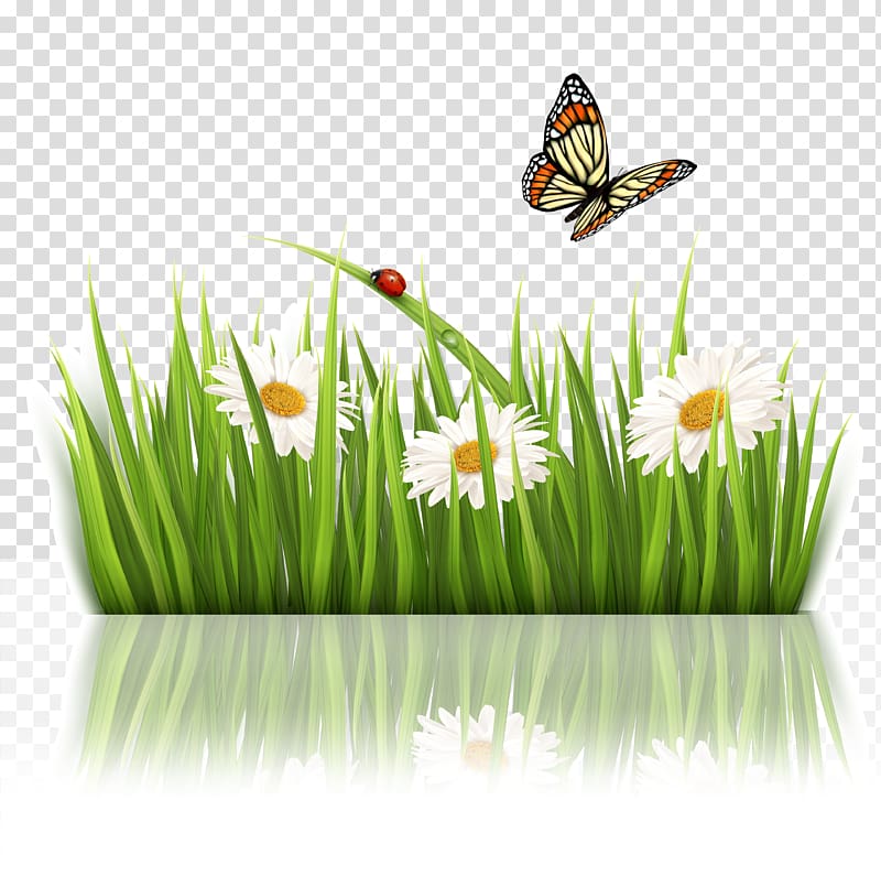 Nature Green Flower, grass transparent background PNG clipart