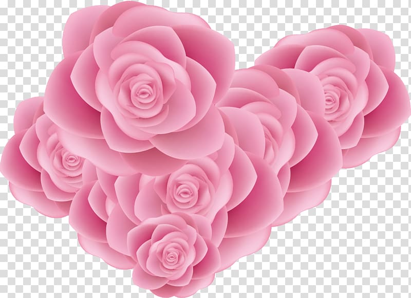 Garden roses Beach rose Pink, Lovely creative pink roses sea transparent background PNG clipart