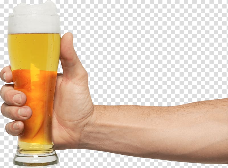 person holding pilsner glass with liquid, Hand Holding Pint Beer transparent background PNG clipart