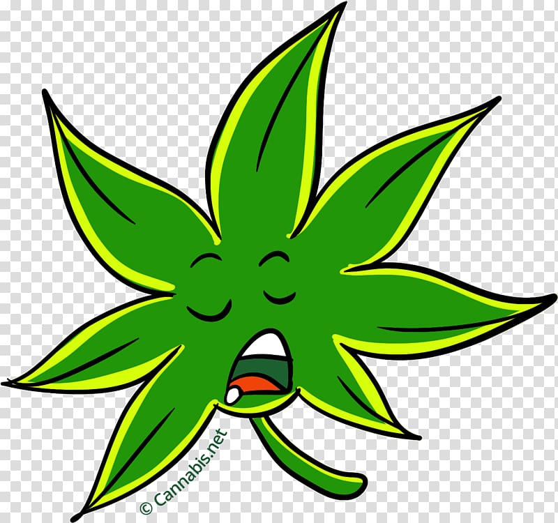 Cannabis Cup Marijuana Tetrahydrocannabinol Sour Diesel, TIRED transparent background PNG clipart