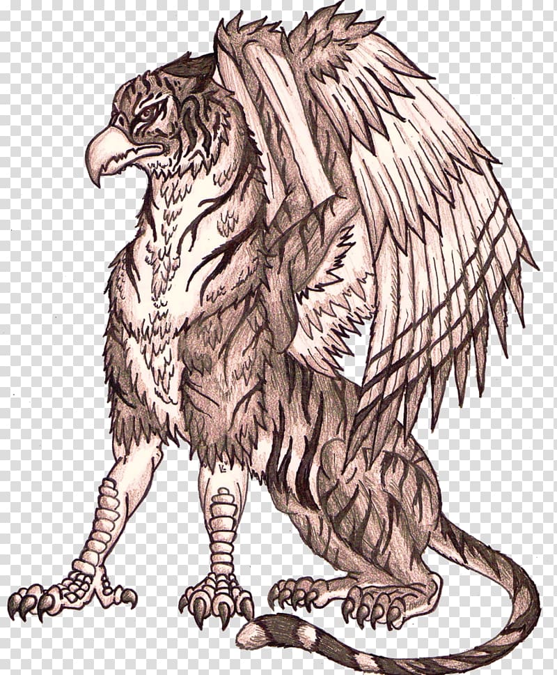 Tiger Drawing Griffin Eagle Lion, Griffin transparent background PNG clipart