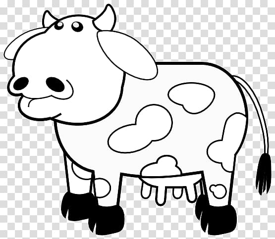 Highland cattle White Park cattle Beef cattle , White Cow transparent background PNG clipart