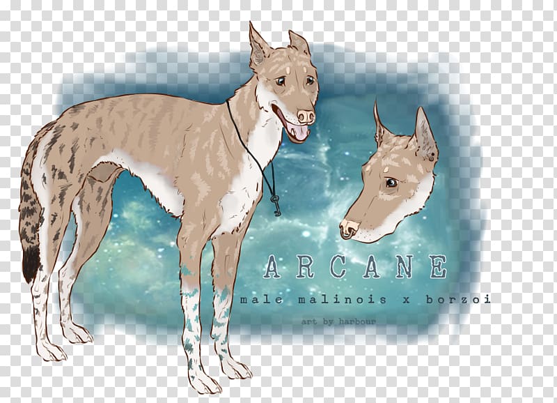 Italian Greyhound Whippet Spanish greyhound Ibizan Hound, arcane transparent background PNG clipart