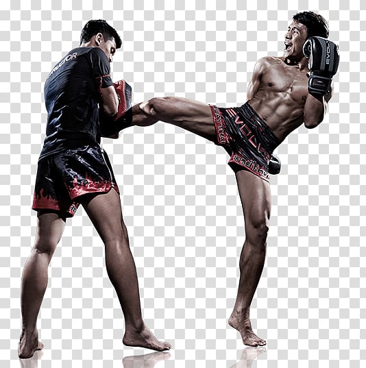 Kickboxing Combat sport Martial arts, Boxing transparent background PNG clipart