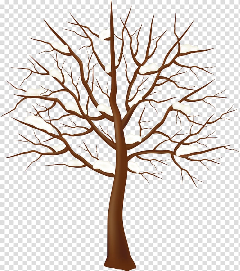 Tree Winter , tree transparent background PNG clipart