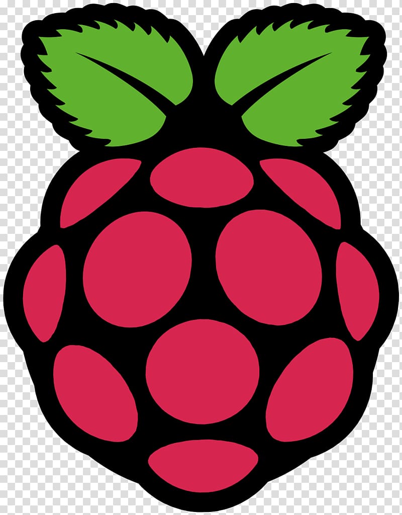 Raspberry Pi 3 Raspbian Computer Kodi, flea transparent background PNG clipart