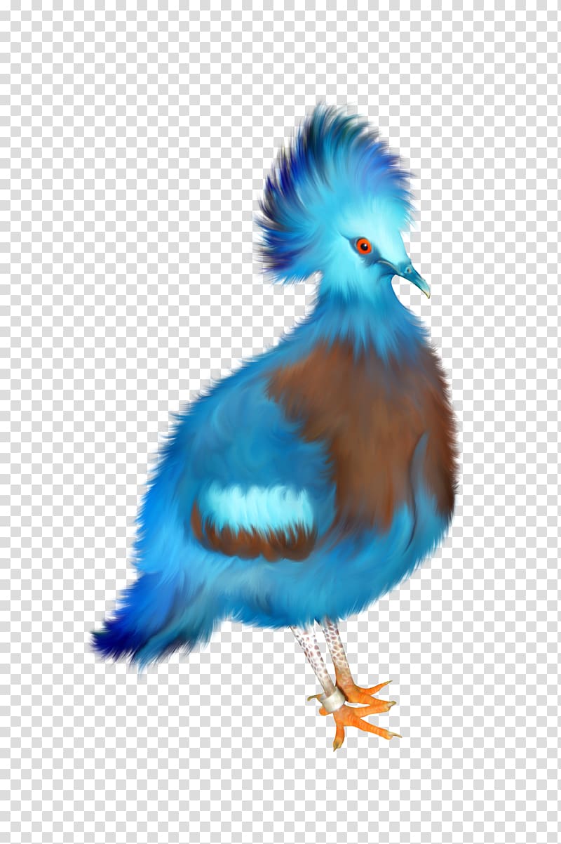 Bird Blue, Phoenix transparent background PNG clipart