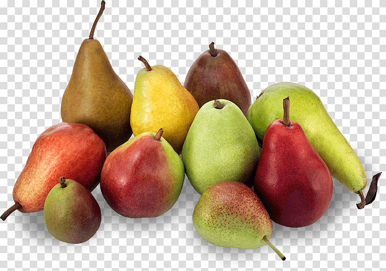 Williams pear D\'Anjou Crisp Variety Fruit, health transparent background PNG clipart