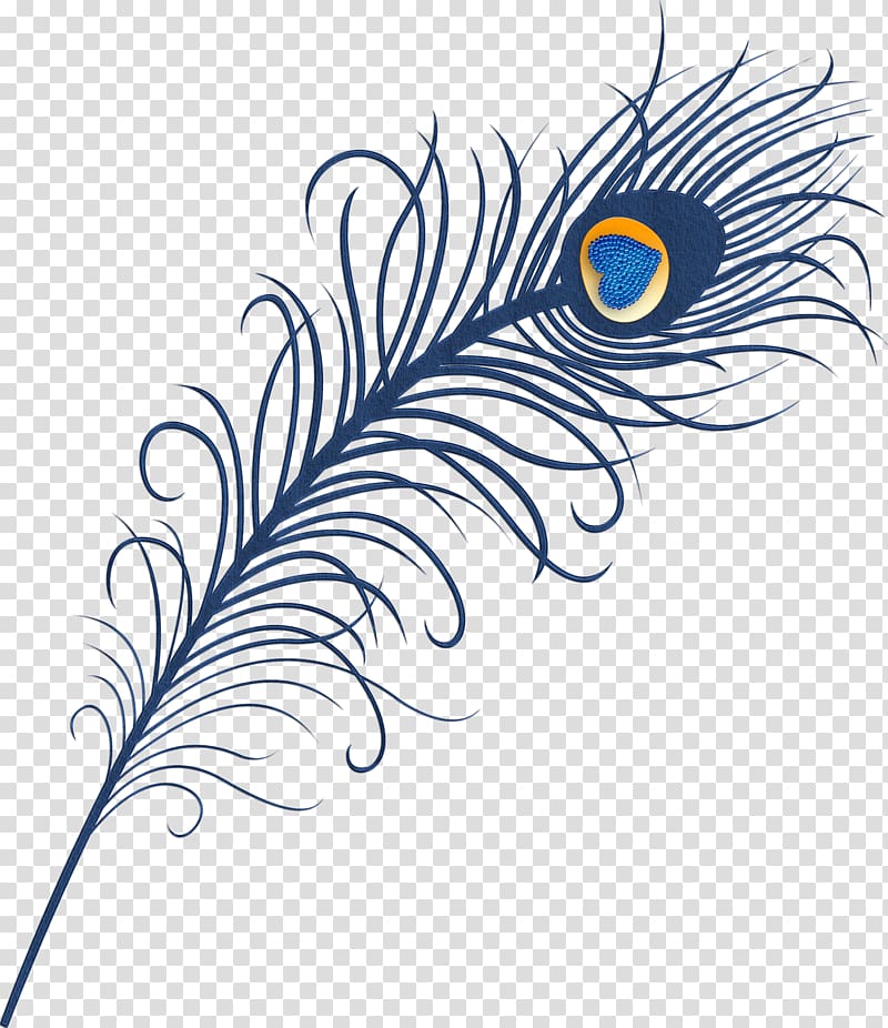 Feather Peafowl Bird , Love peacock feathers transparent background PNG clipart