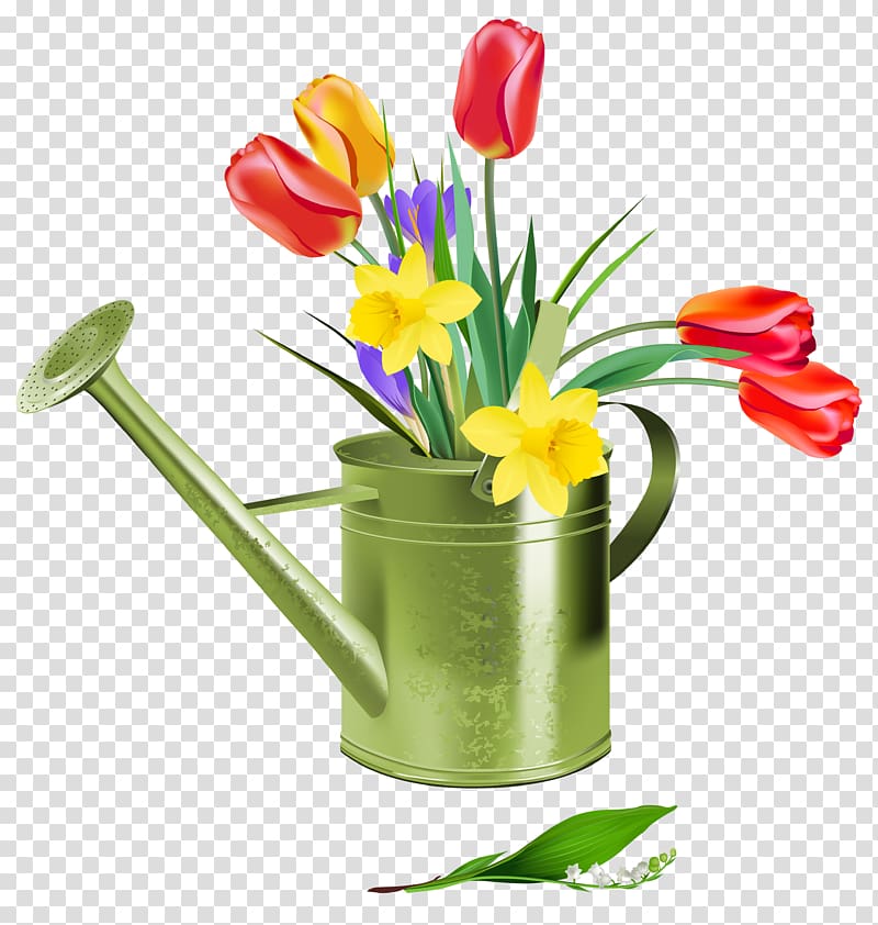 Flower Watering Cans Tulip , Spring Tulip transparent background PNG clipart