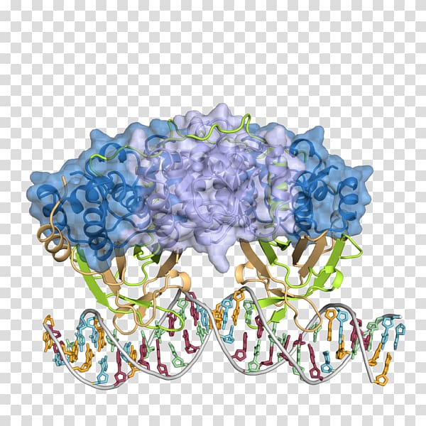 Department of Molecular Biology and Genetics, Science Park Structural biology, science transparent background PNG clipart