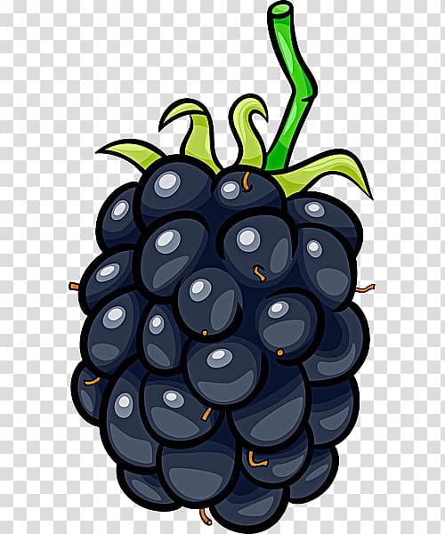Frutti di bosco Blackberry Cartoon Fruit, BlackBerry illustration material transparent background PNG clipart