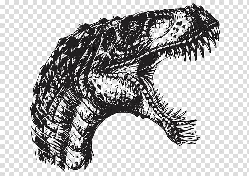 Crocodile Velociraptor Masiakasaurus Spinosaurus Deinonychus, Crocodile transparent background PNG clipart
