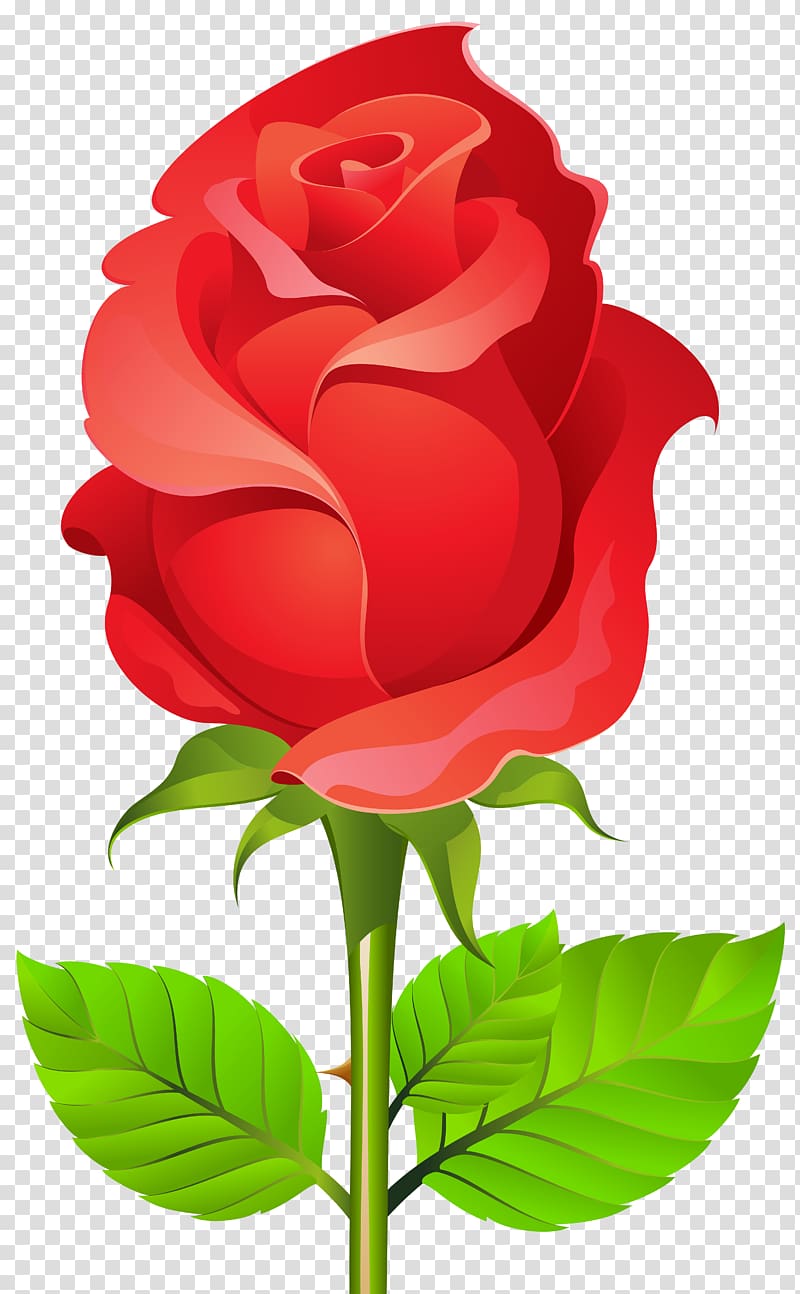 red rose illustration, Mother\'s Day frame, Deco Rose transparent background PNG clipart