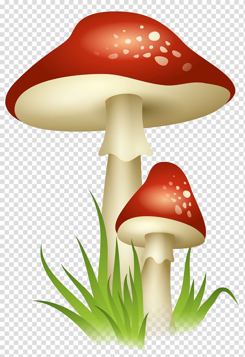 red mushroom illustration, Mushroom , Mushrooms transparent background PNG clipart