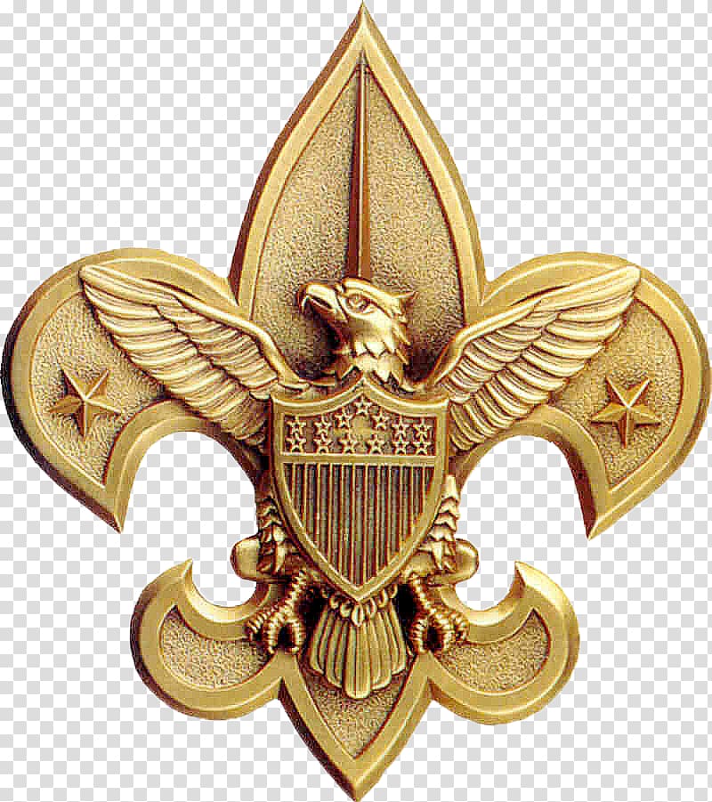 Eagle Rank Emblem  Boy Scouts of America