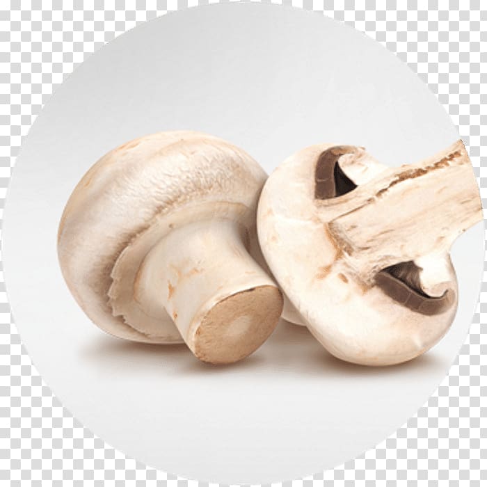Common mushroom Pleurotus eryngii Fungus Portabello, mushroom transparent background PNG clipart