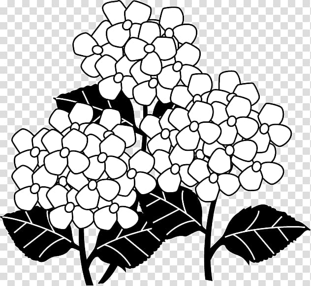 Black and white French hydrangea Monochrome painting, design transparent background PNG clipart